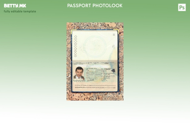 Шаблон за изглед на фотографија од пасош на Алжир во модерен стил